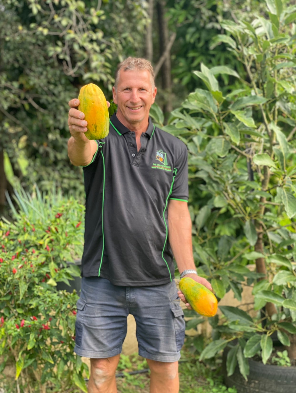 Tropical Papaya-The Village Grocer Club