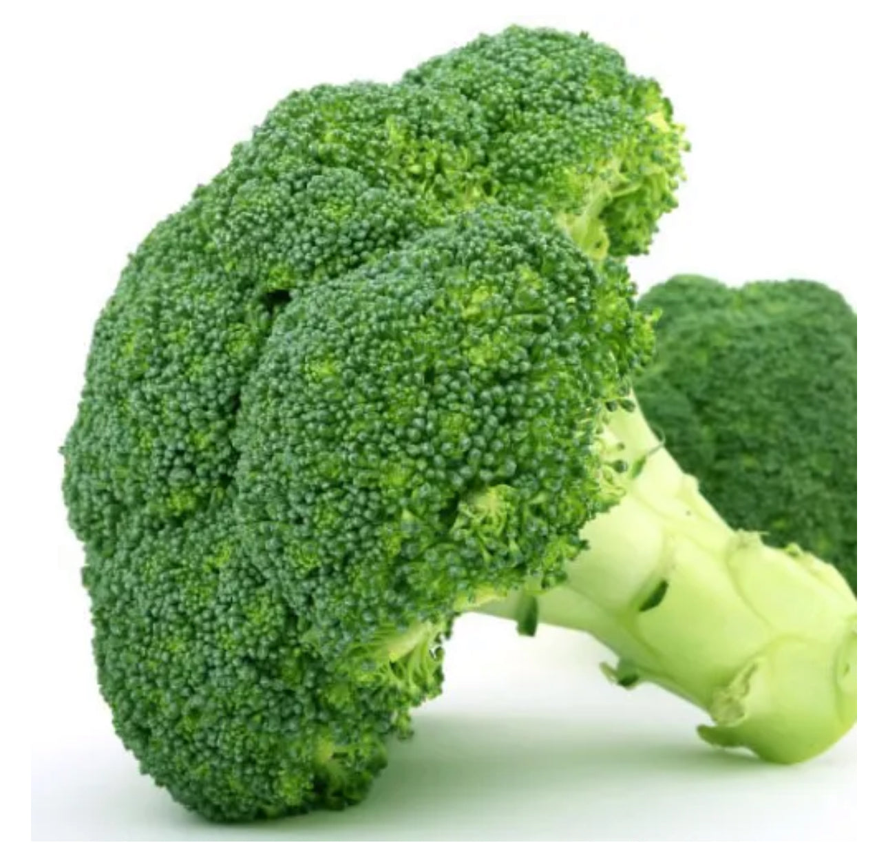 Fresh Premium Broccoli-The Village Grocer Club