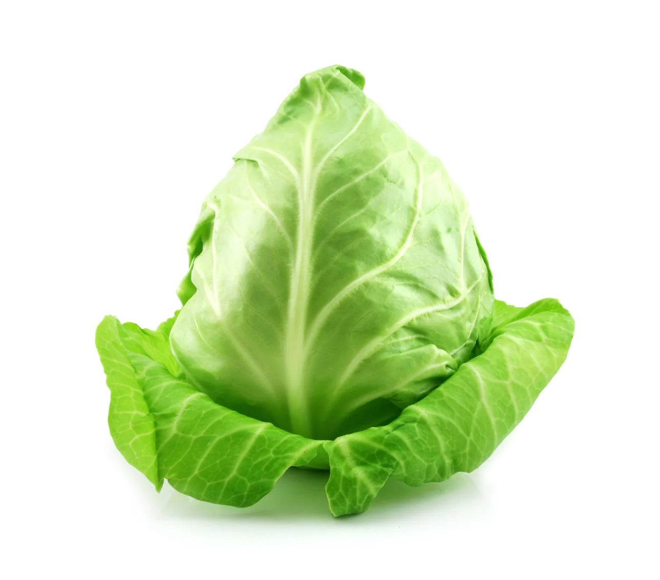 Sugar Loaf Cabbage-The Village Grocer Club