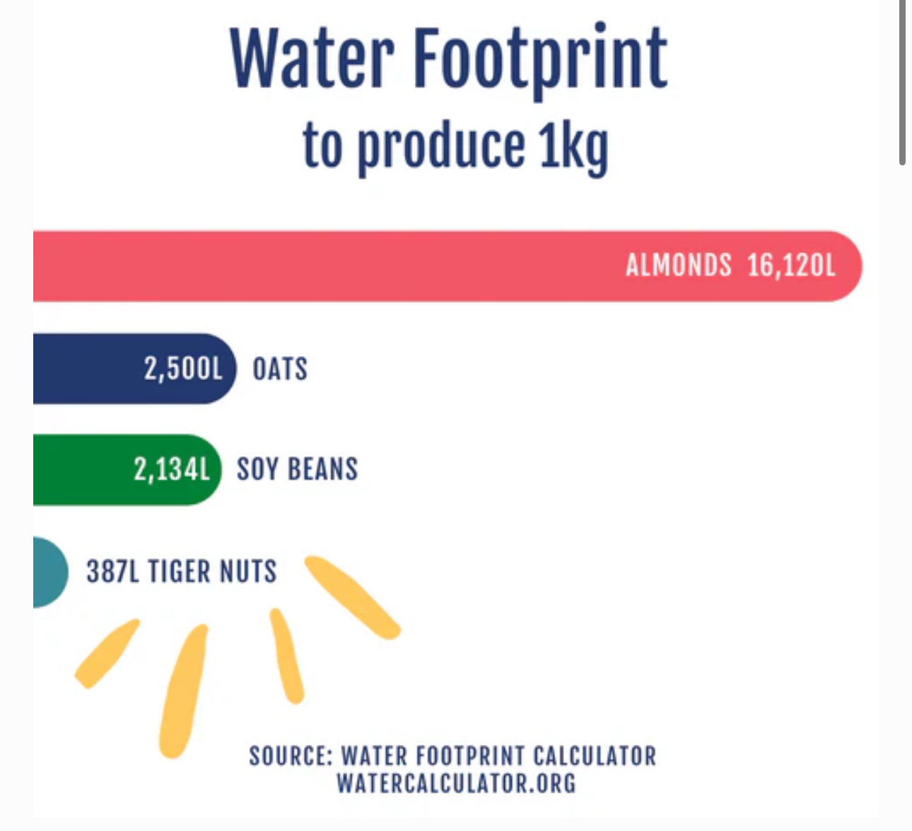 Make Your Morning Coffee Even More Delicious With Tiger Nut Barista Milk Made With Certified Organic Tiger Nuts