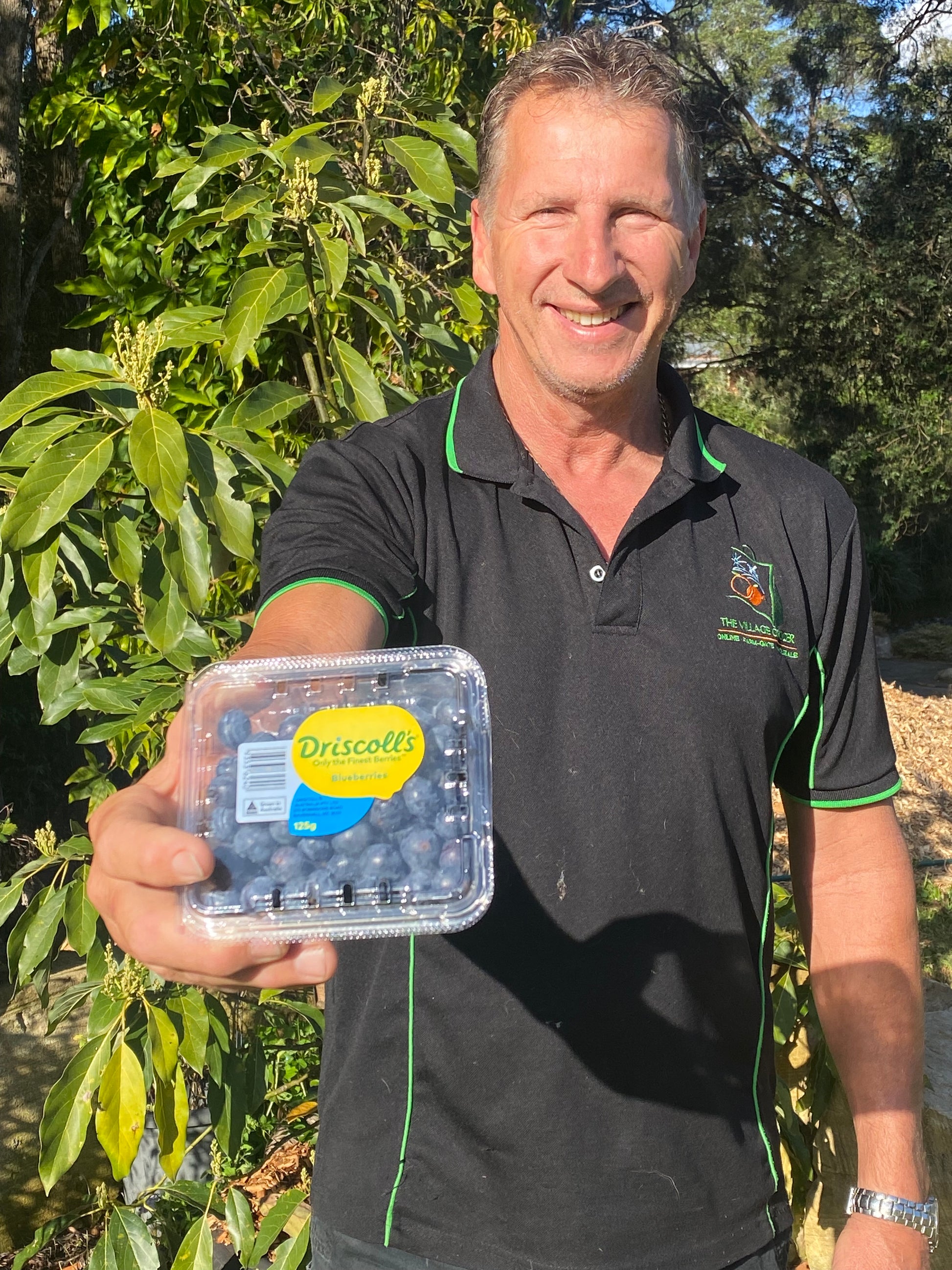 Australian Large Sweet Blueberries!!-The Village Grocer Club