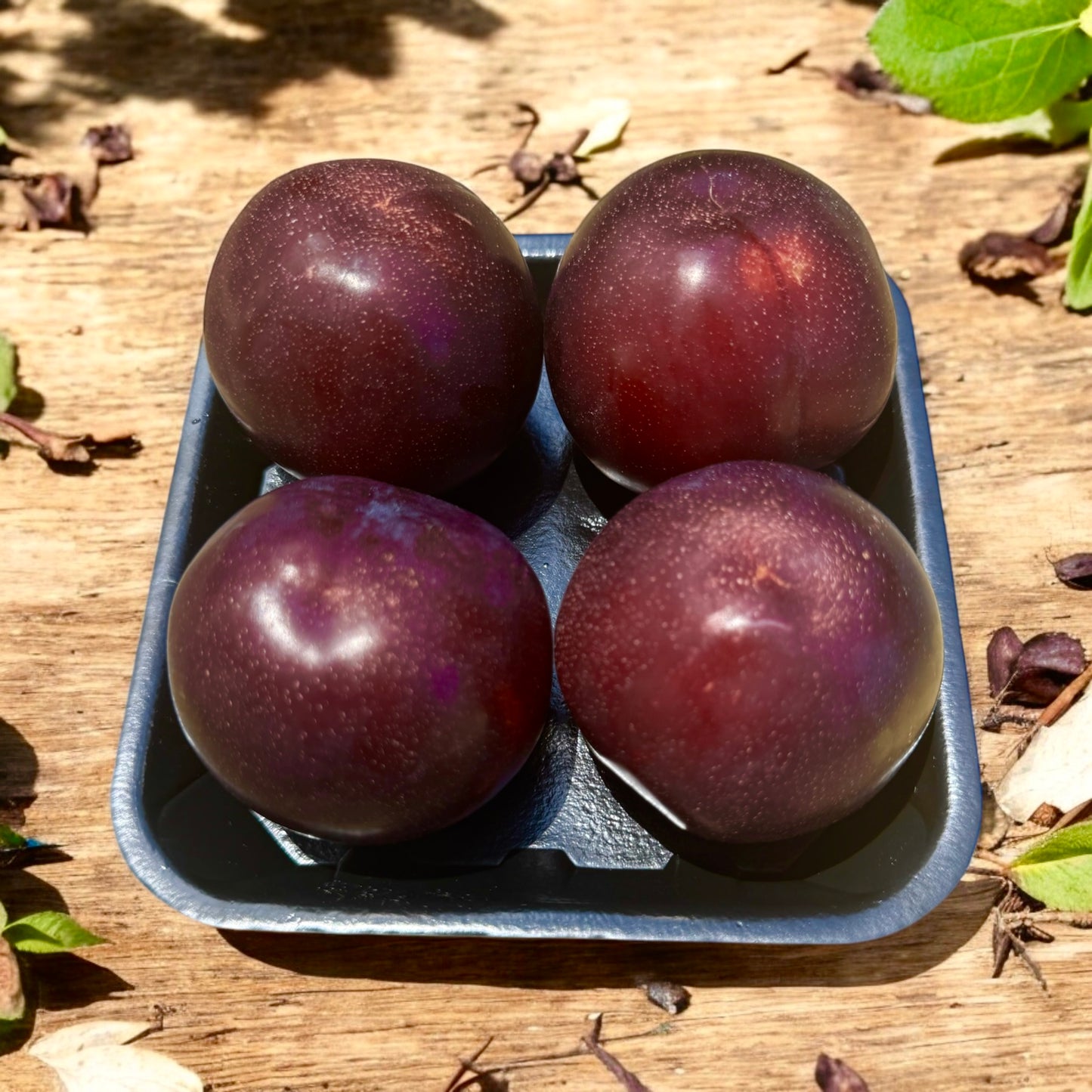 Premium New Season Plums-The Village Grocer Club