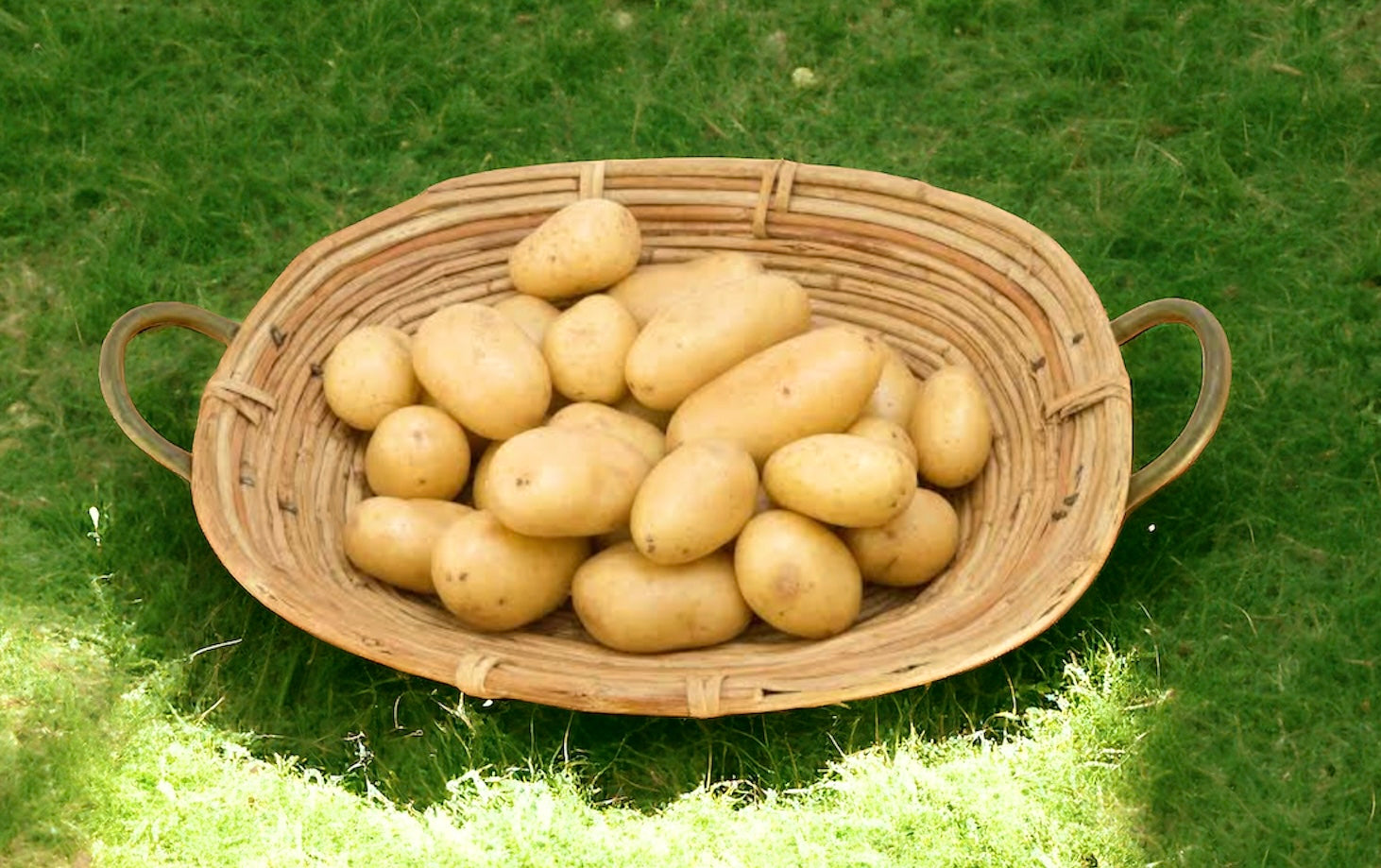 Add 1kg Chat White potatoes-The Village Grocer Club