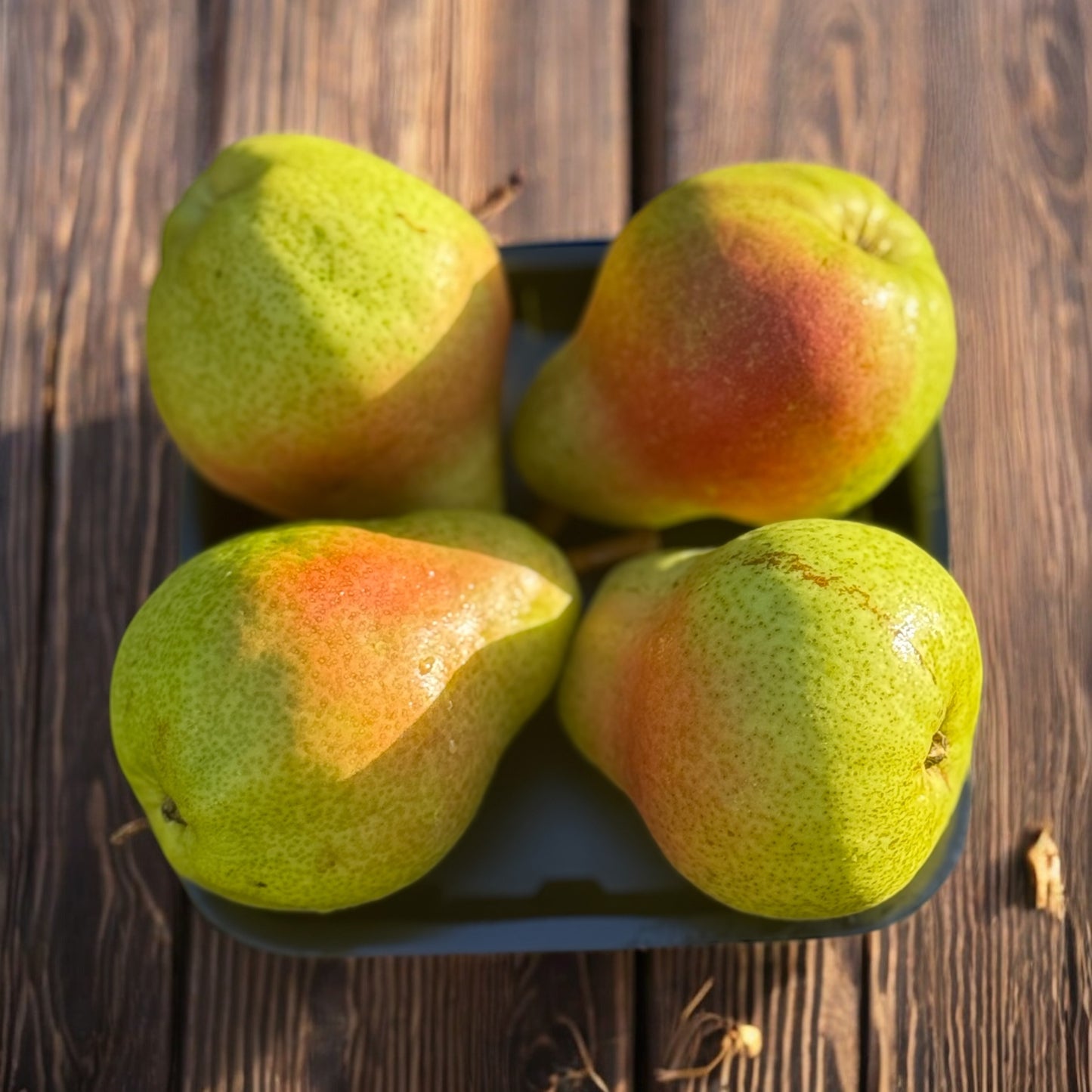 Delicious Packham Pears