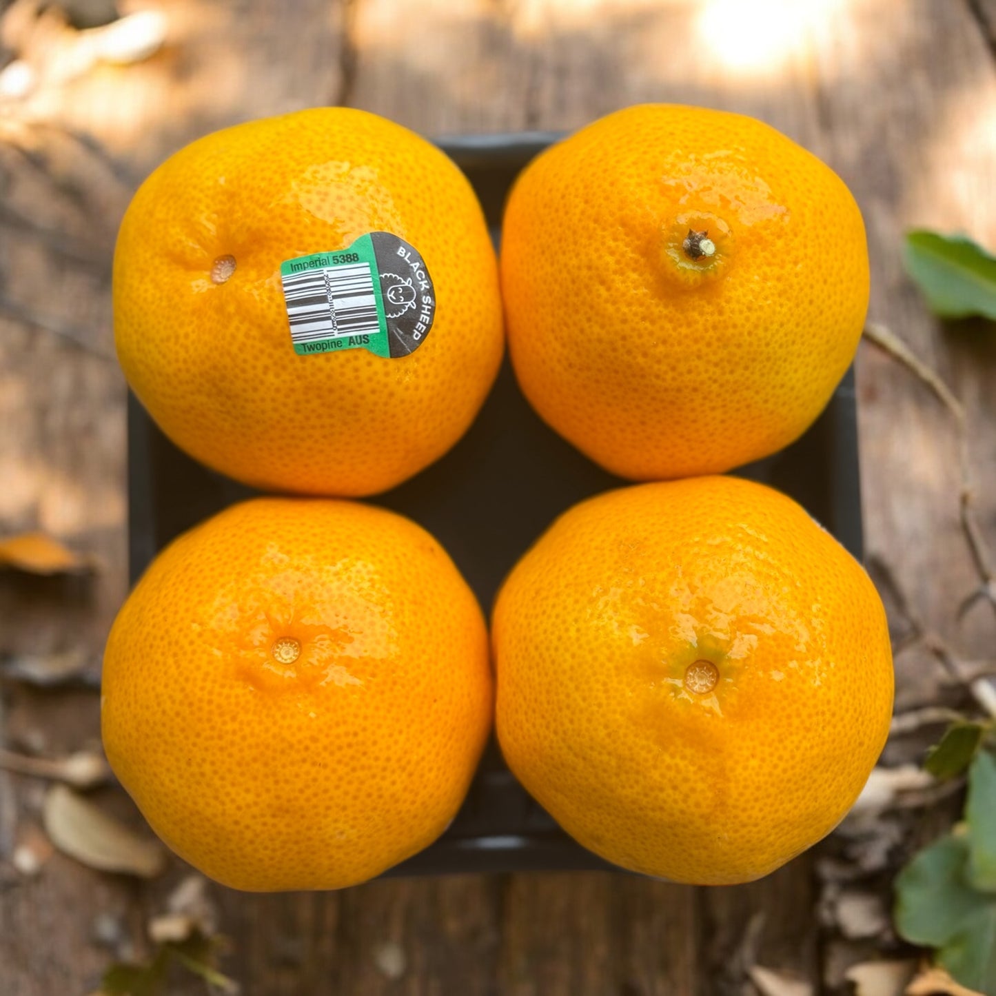 Winter Citrus - Sweet and Juicy Mandarins-The Village Grocer Club
