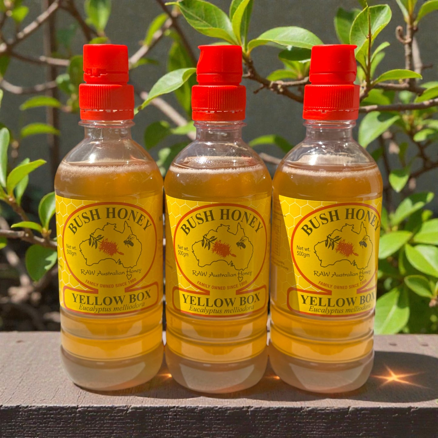 A variety of Bush Honey Squeezy’s