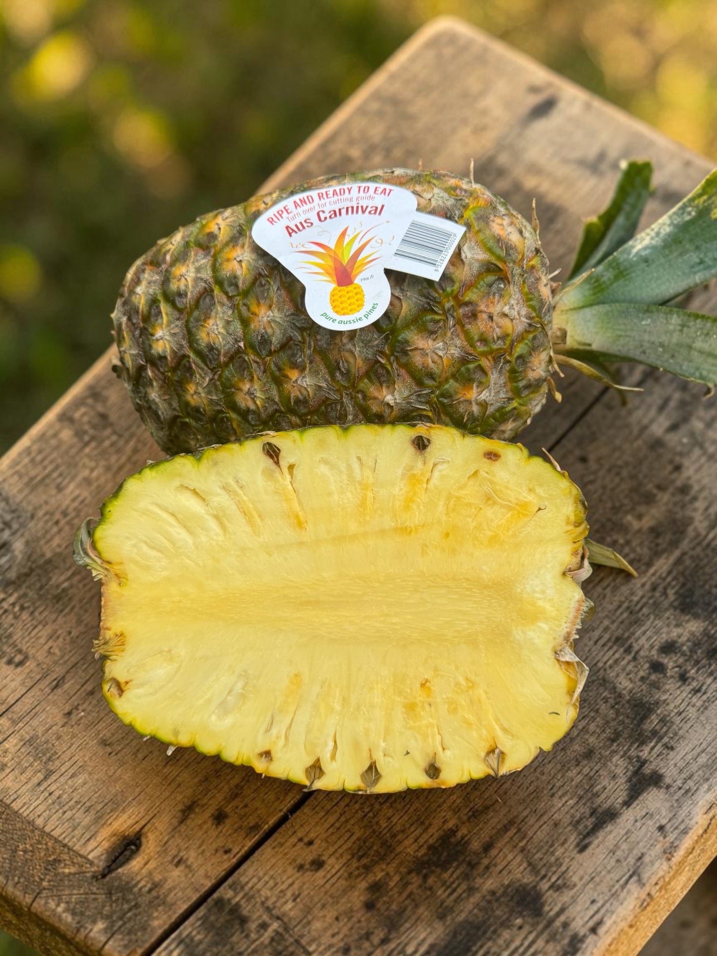 Extra Large Queensland Pineapple
