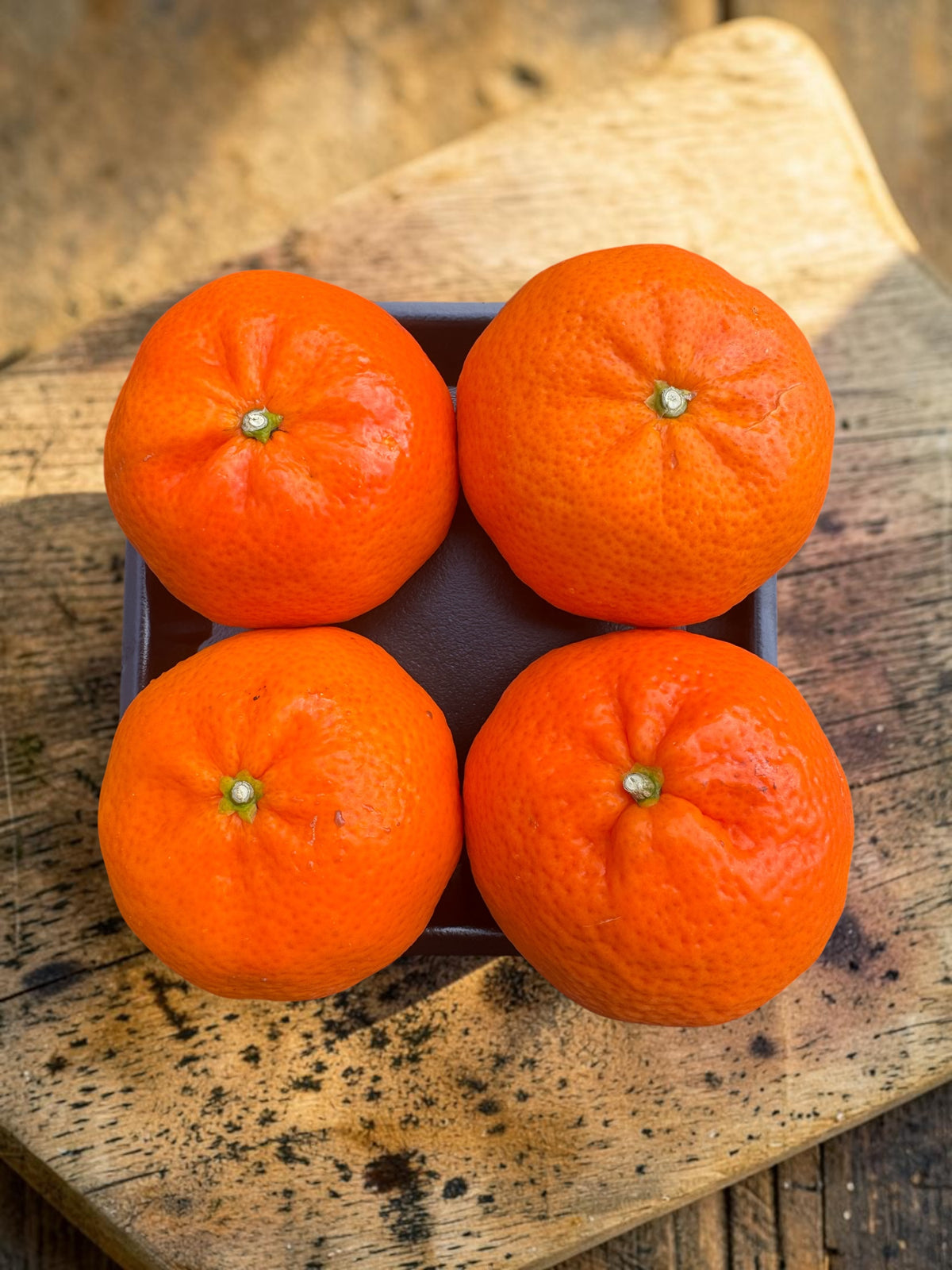 Spring Citrus - Australian Sweet and Juicy Mandarins