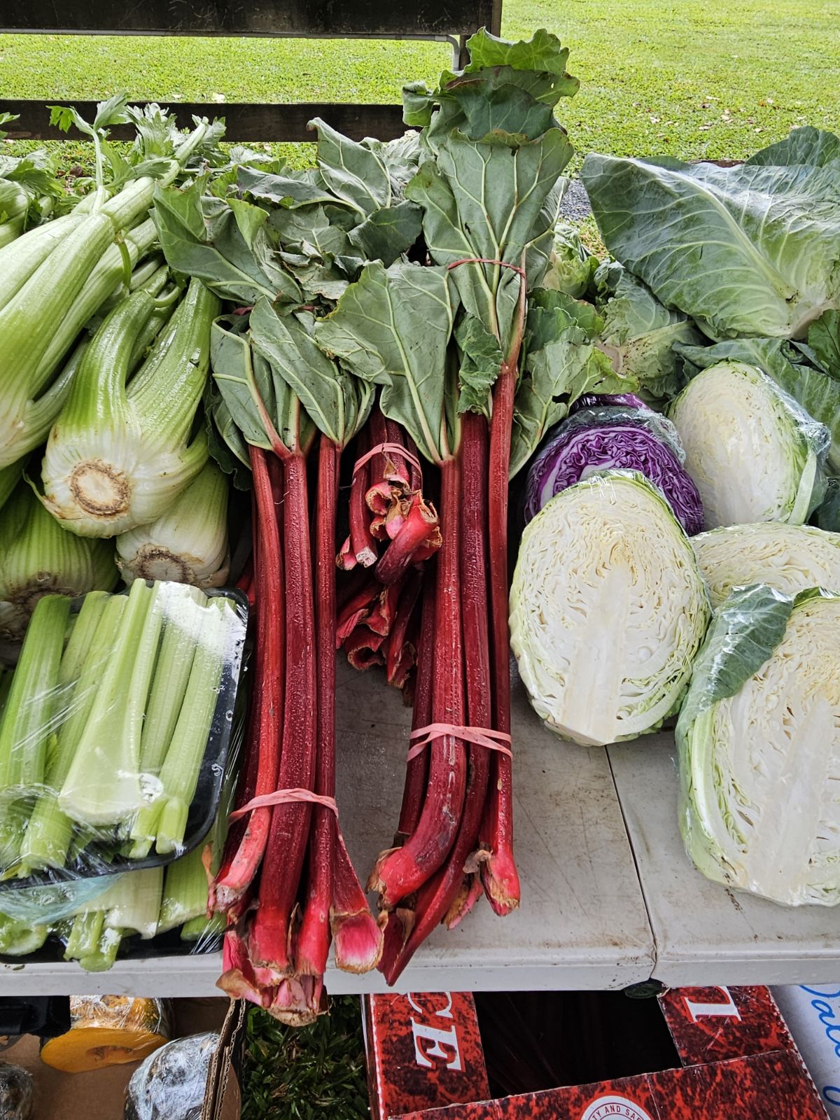 Large Locally Grown Rhubarb-The Village Grocer Club