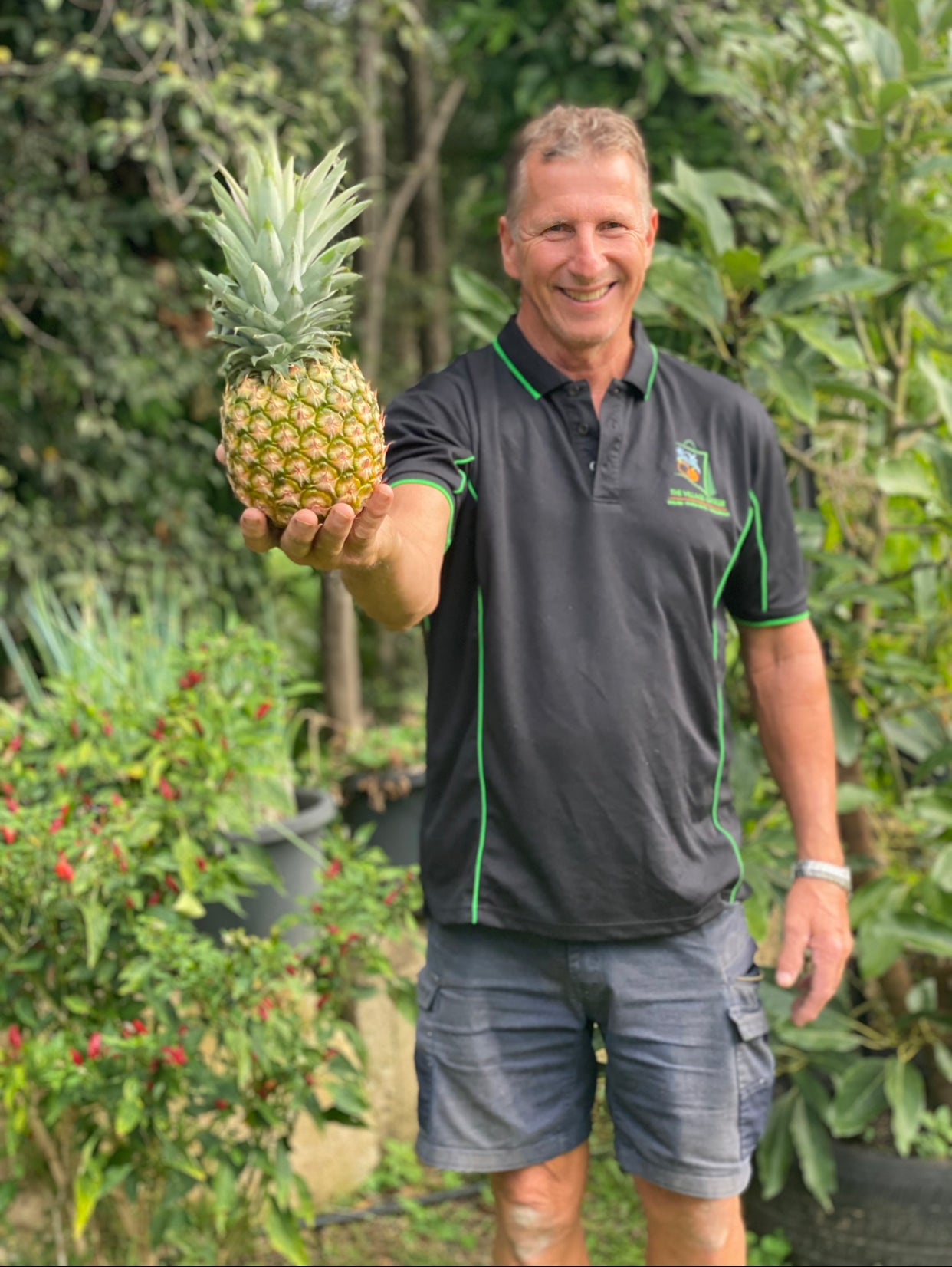 Sweet Queensland Pineapple-The Village Grocer Club