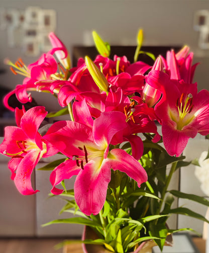 Stunning fresh Lilly bunches **Wholesale Price**-The Village Grocer Club