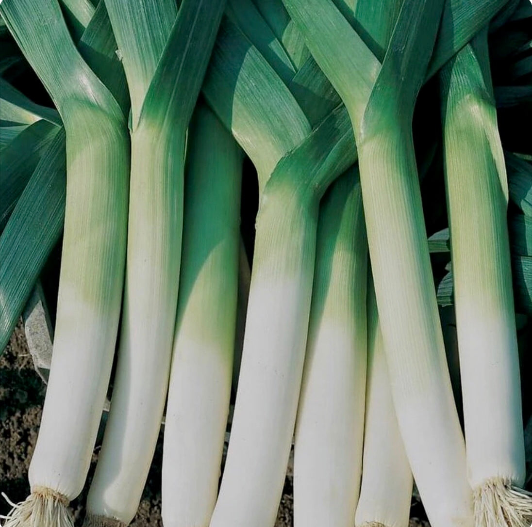 Australian Premium Leeks-The Village Grocer Club