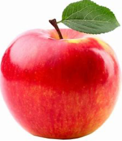 Winter Crunch - Delightful Missile Apples-The Village Grocer Club