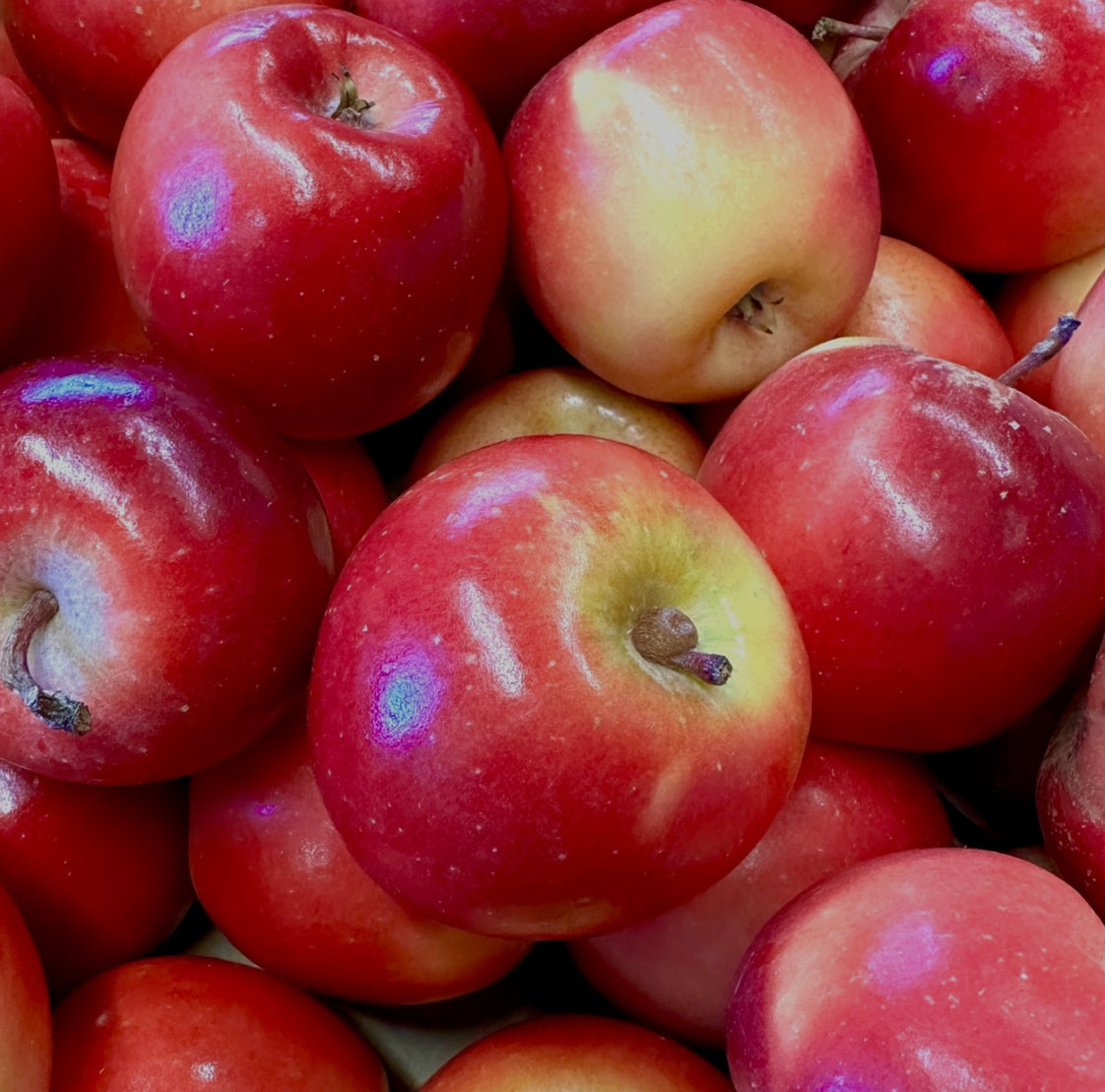 Winter Crunch - Delightful Missile Apples-The Village Grocer Club