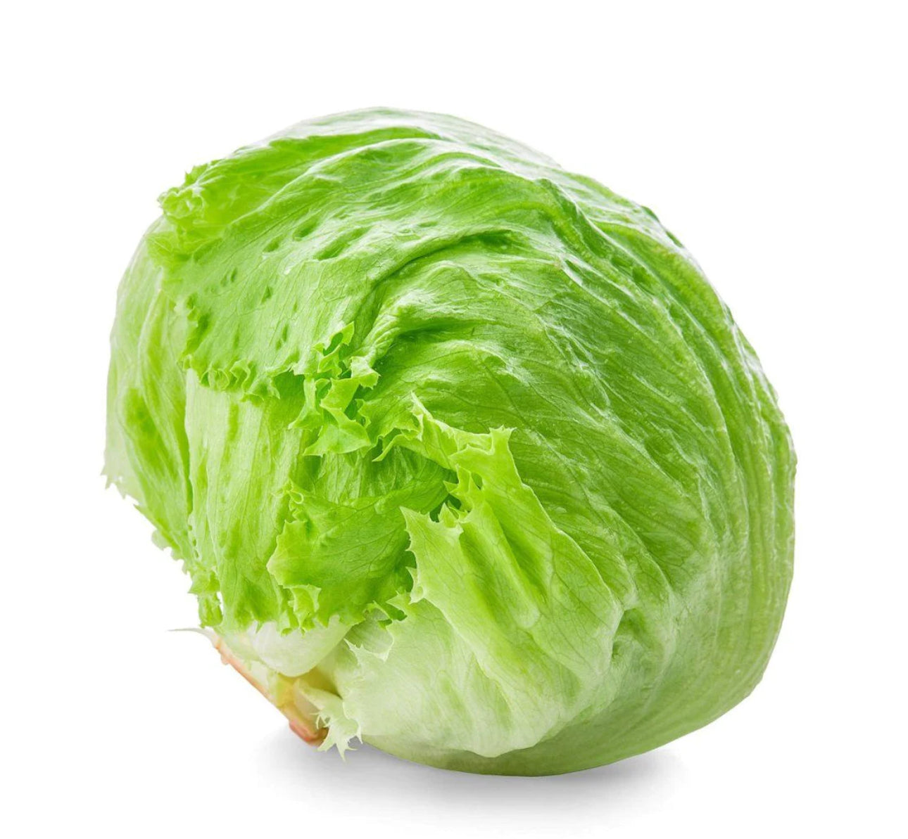 Crisp Fresh Iceberg Lettuce-The Village Grocer Club