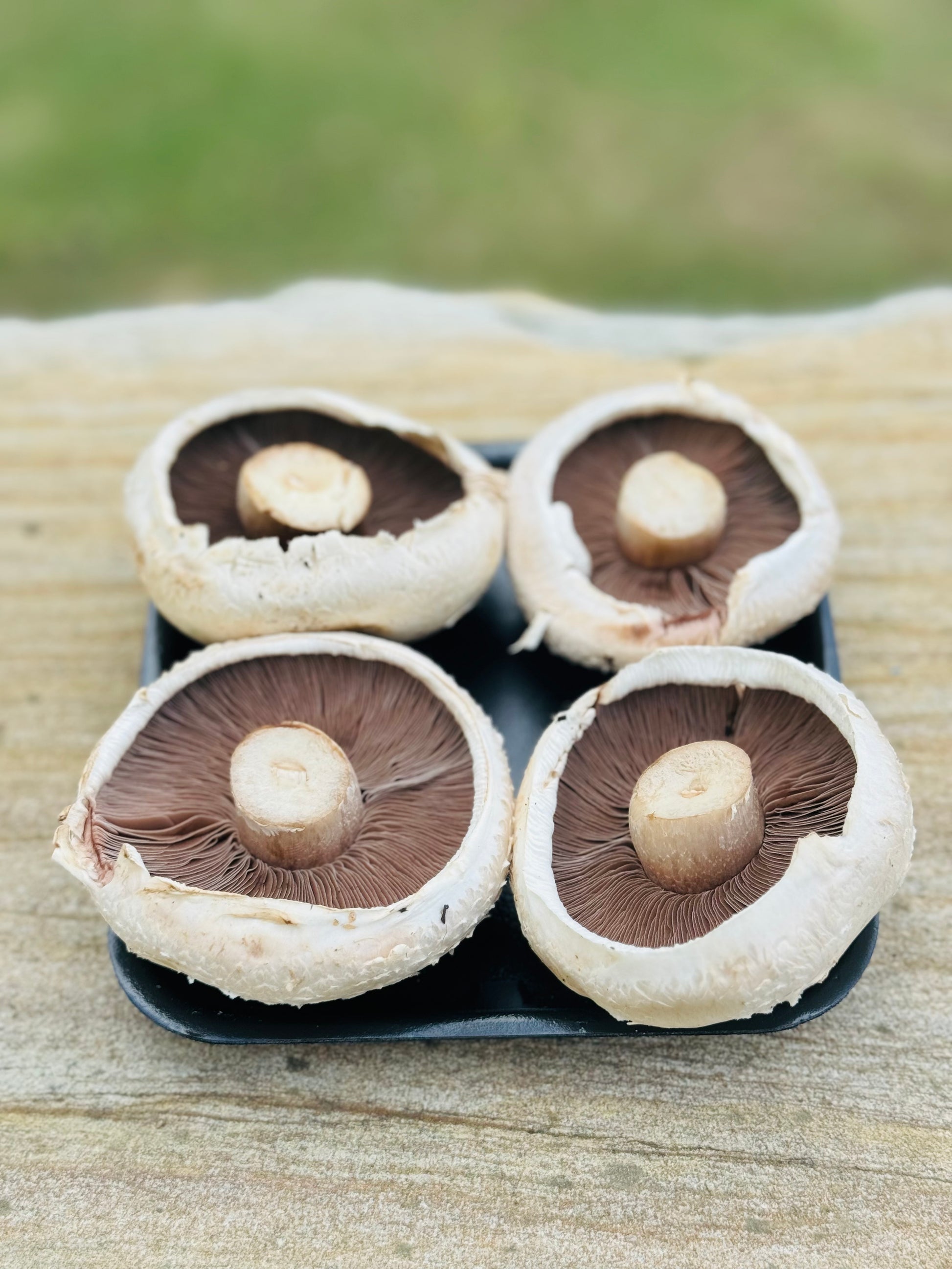 Fresh Picked Field Mushrooms-The Village Grocer Club