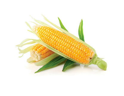 Super Sweetcorn-The Village Grocer Club