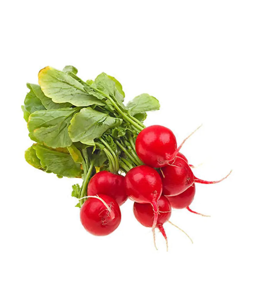 Radishes-The Village Grocer Club