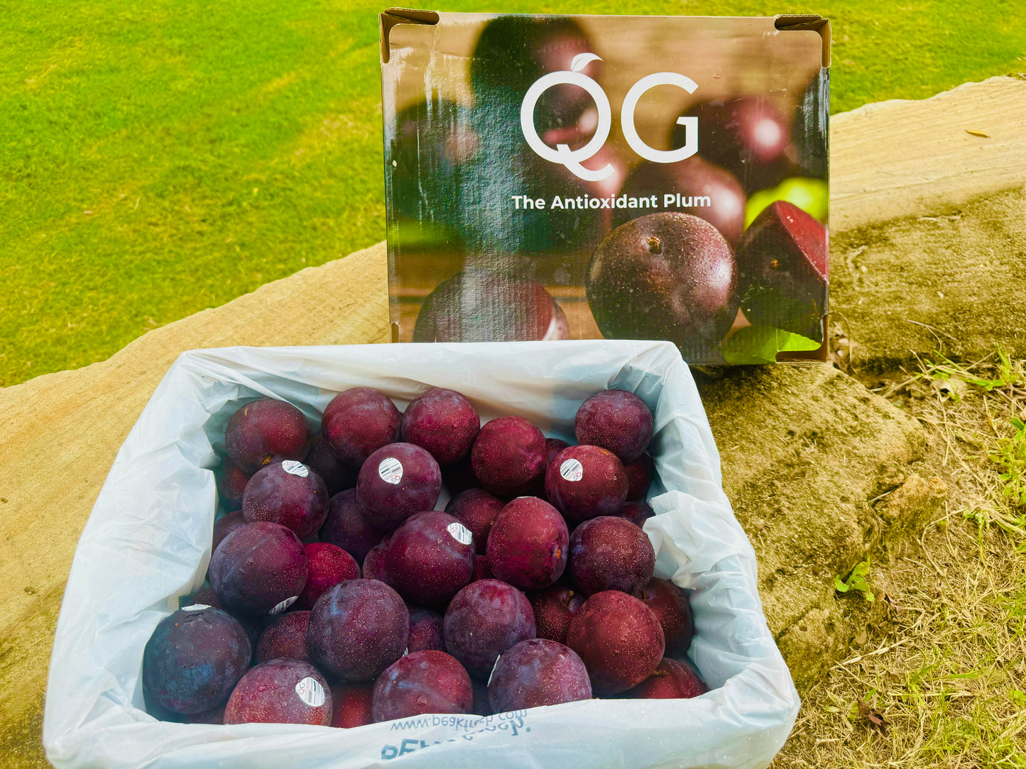 Premium Queen Garnet Plums-The Village Grocer Club