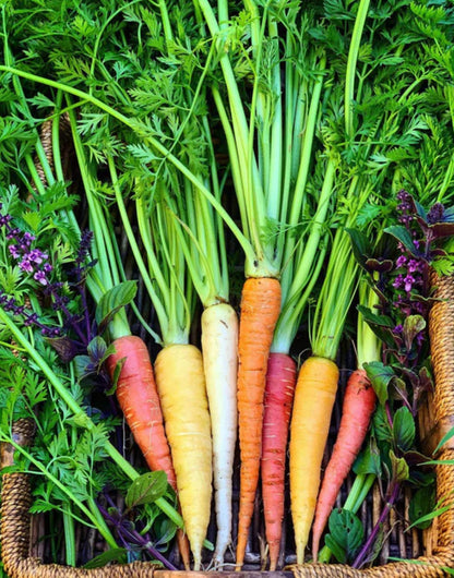 Super Healthy Rainbow Carrots-The Village Grocer Club