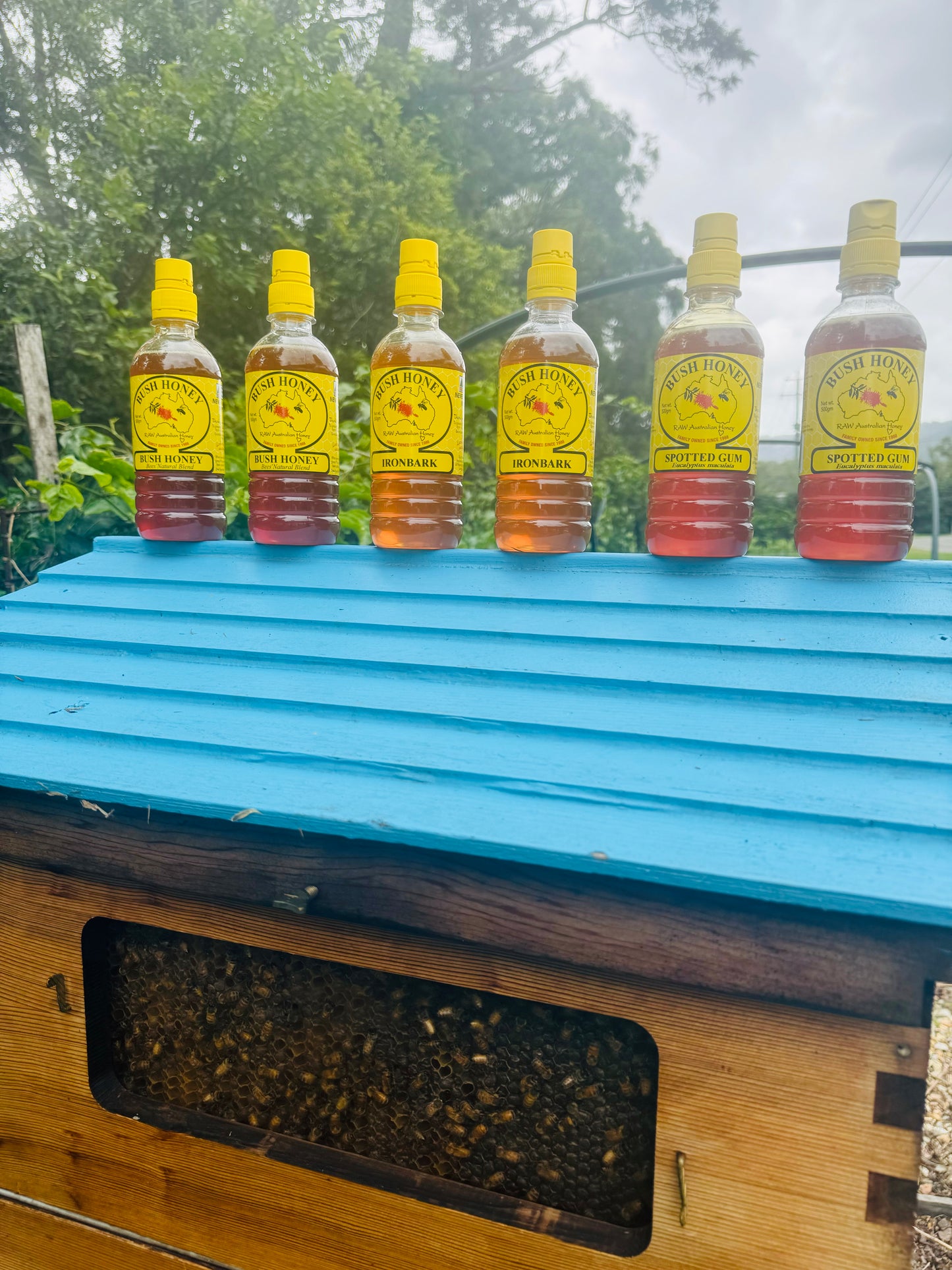 A variety of Bush Honey Squeezy’s-The Village Grocer Club