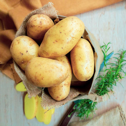 Dutch Cream Potato-The Village Grocer Club