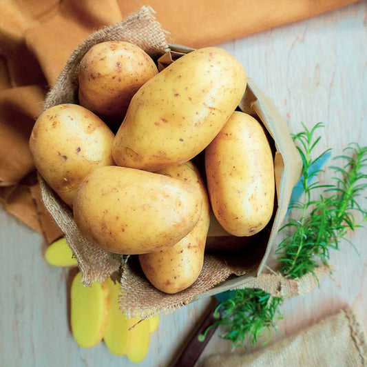 Dutch Cream Potato-The Village Grocer Club