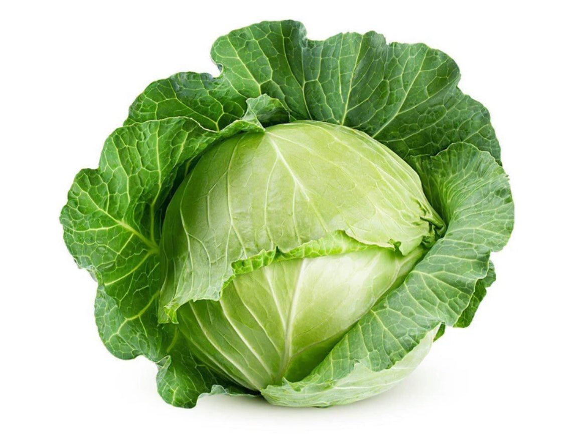 Drumhead Cabbage-The Village Grocer Club