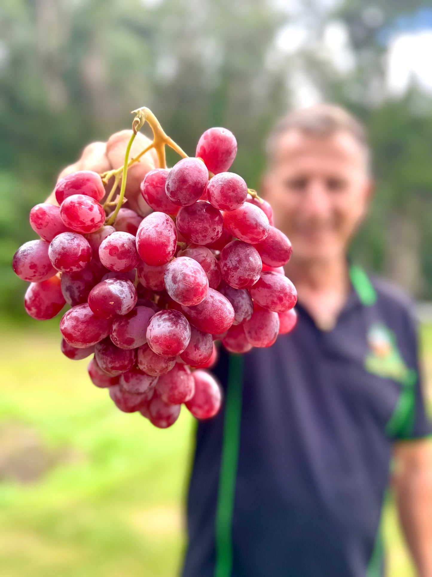 Premium Sweet Red Grapes-The Village Grocer Club