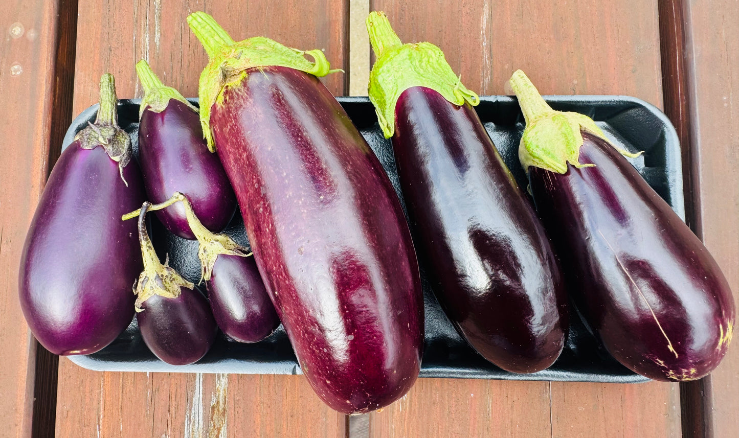 Freshly Cut  - Organically Grown Eggplant & Baby Leb Eggplant