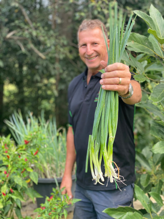 Fresh Shallots-The Village Grocer Club
