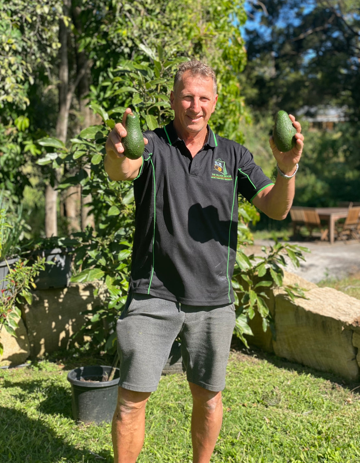 **On Special** Extra Large Hass Avocado-The Village Grocer Club