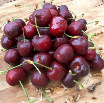 Premium Winter Cherry Tray