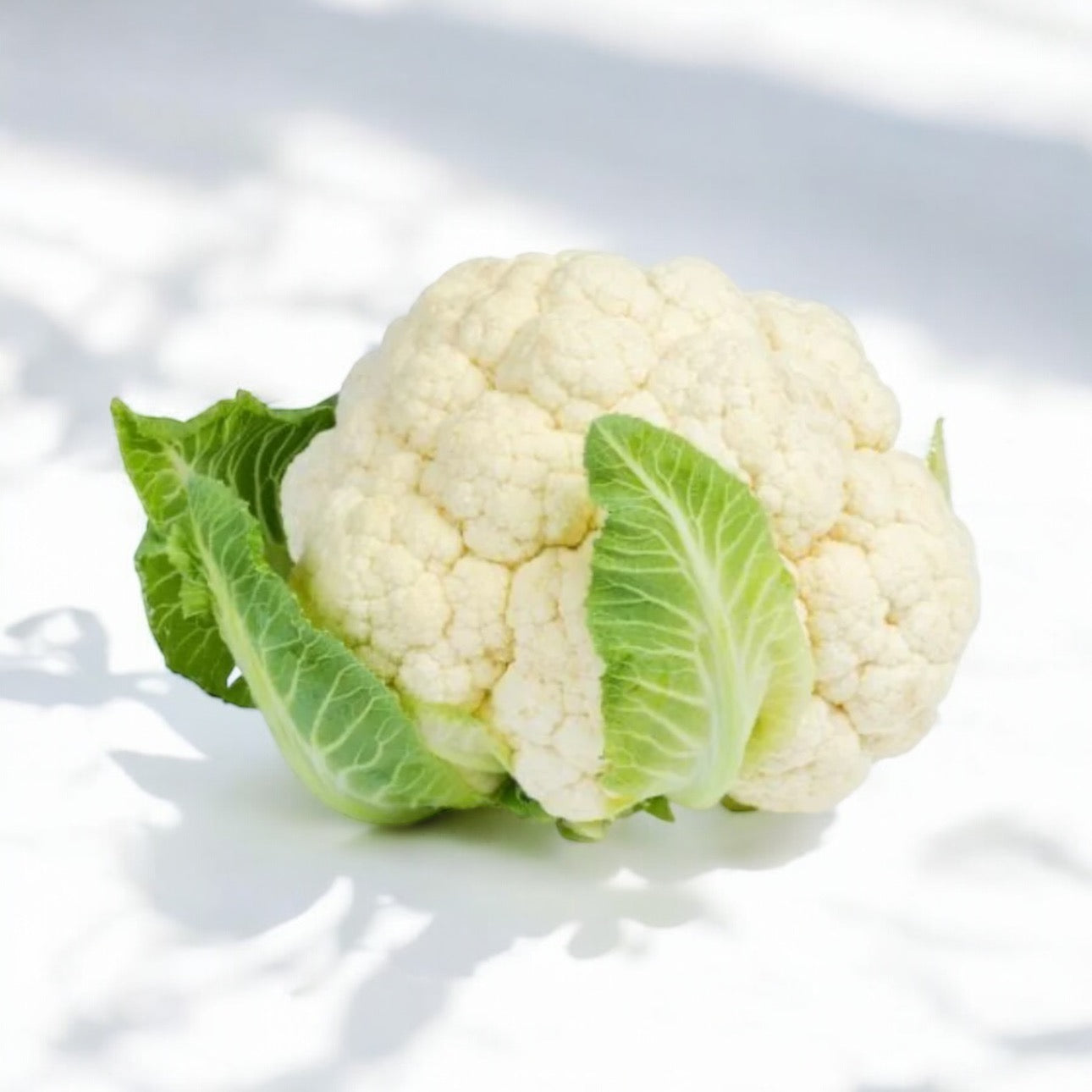 Fresh Picked Cauliflower-The Village Grocer Club