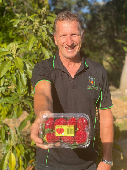 Queensland Strawberries, big and beautiful-The Village Grocer Club