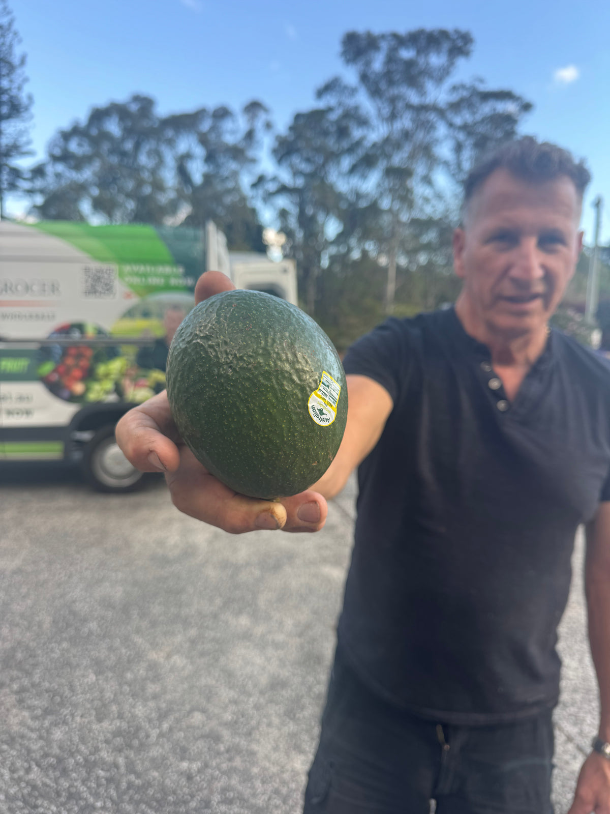 Large Hass Avocado