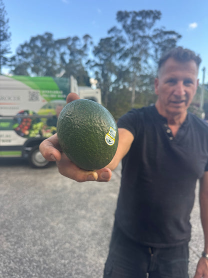 Large Hass Avocado