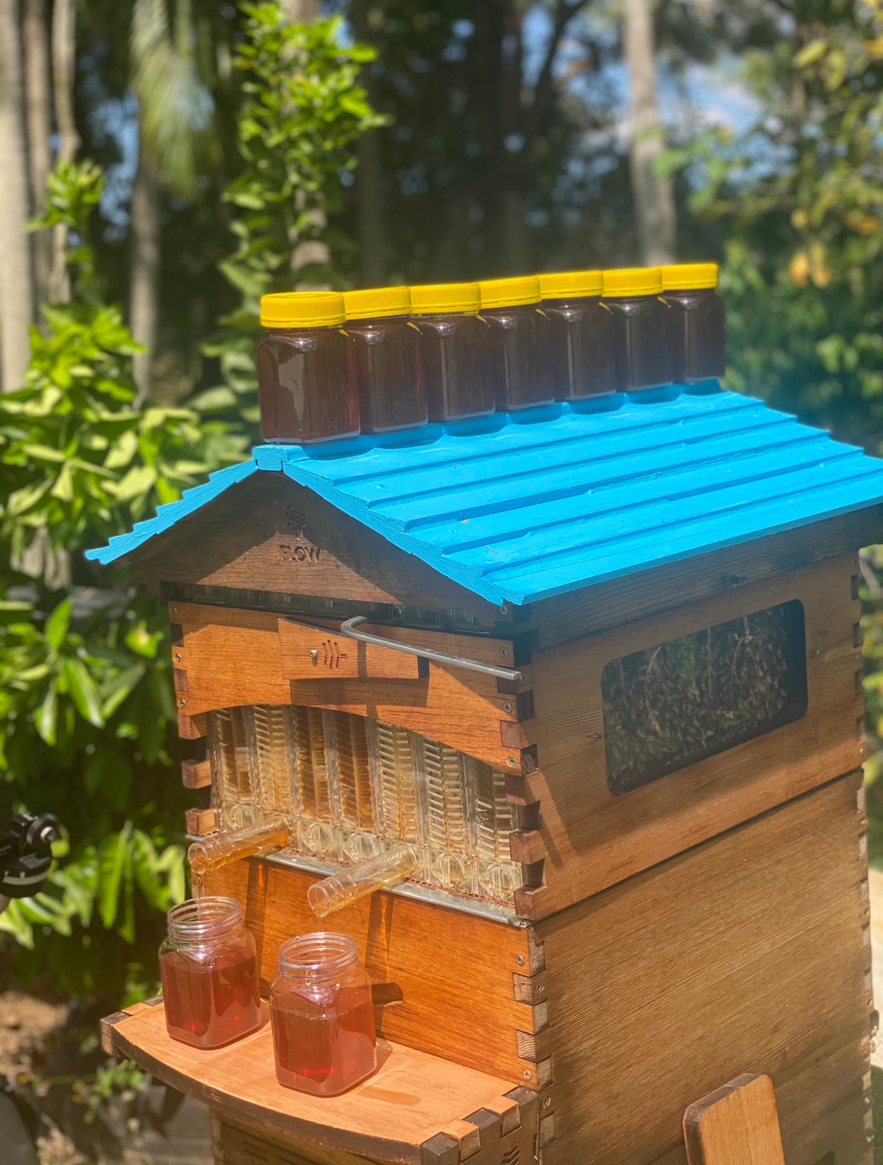 Pure honey straight from our personal hives at Guanaba-The Village Grocer Club