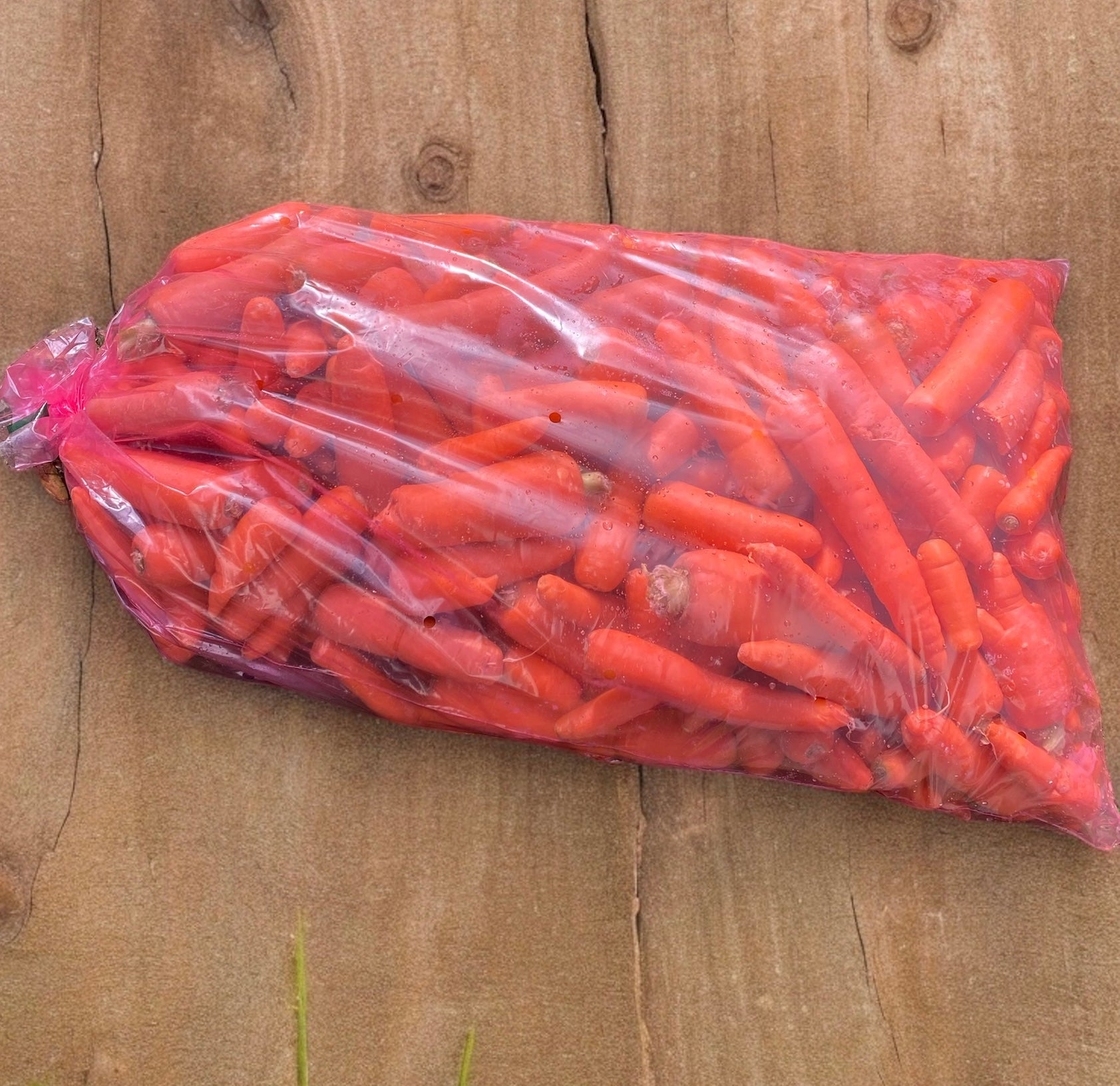 Add a 20kg bag of horse carrots to your box-The Village Grocer Club