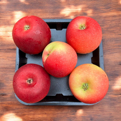 Winter Crunch - Delightful Missile Apples-The Village Grocer Club