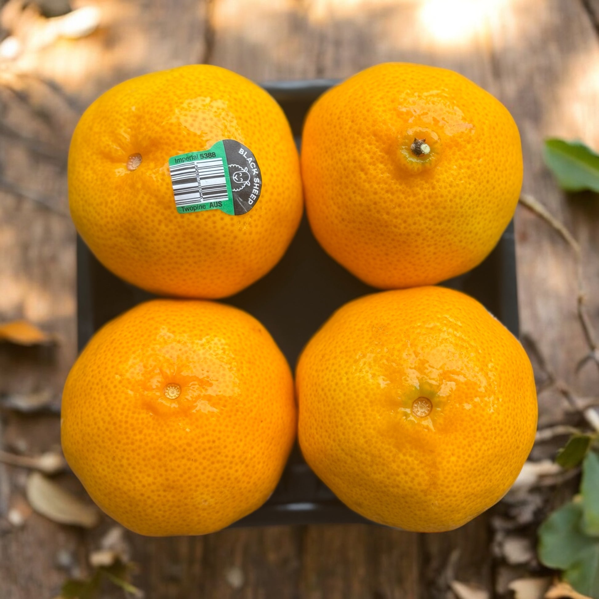 Winter Citrus - Sweet and Juicy Mandarins-The Village Grocer Club