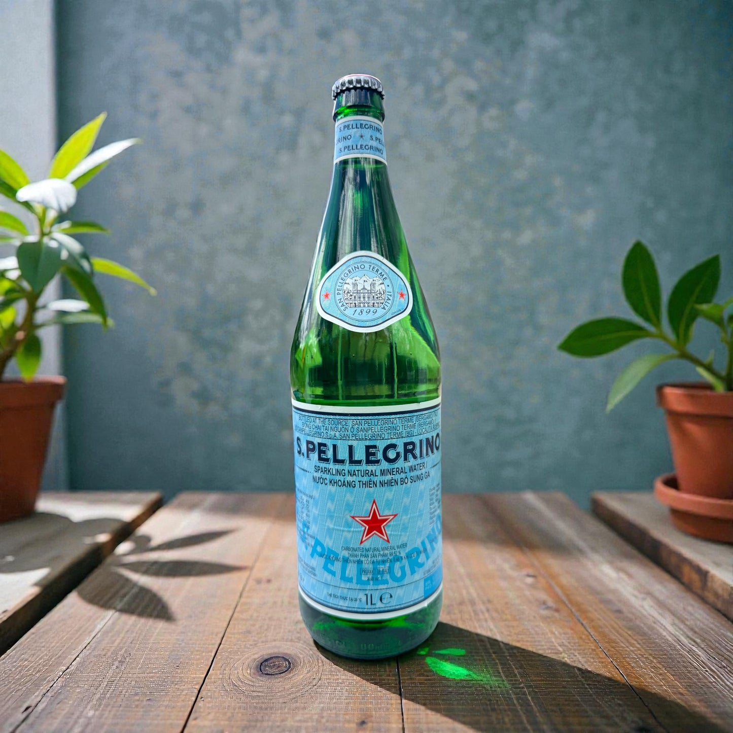 Sparkling One Litre San Pellegrino Water