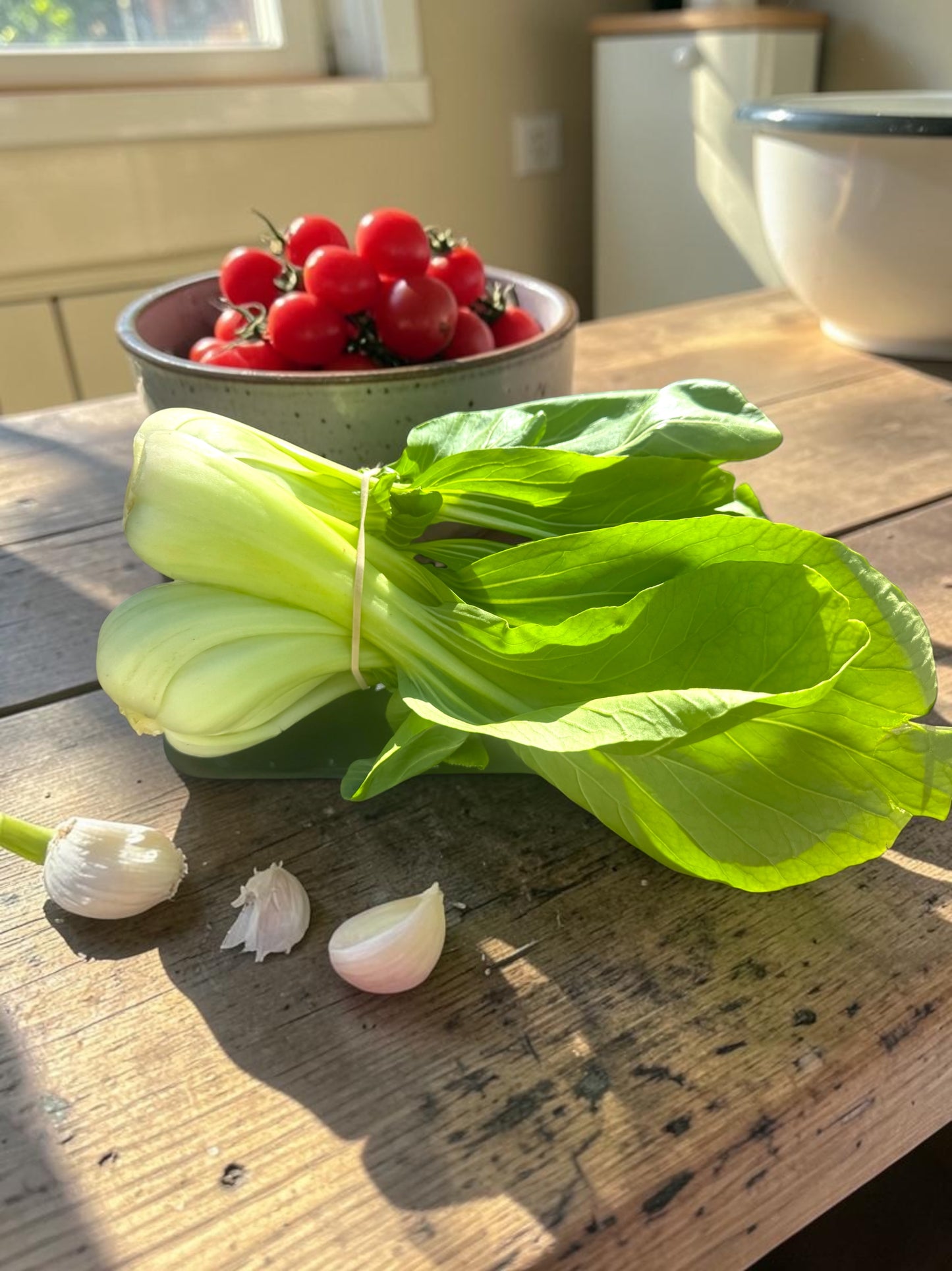 Fresh pac Choi