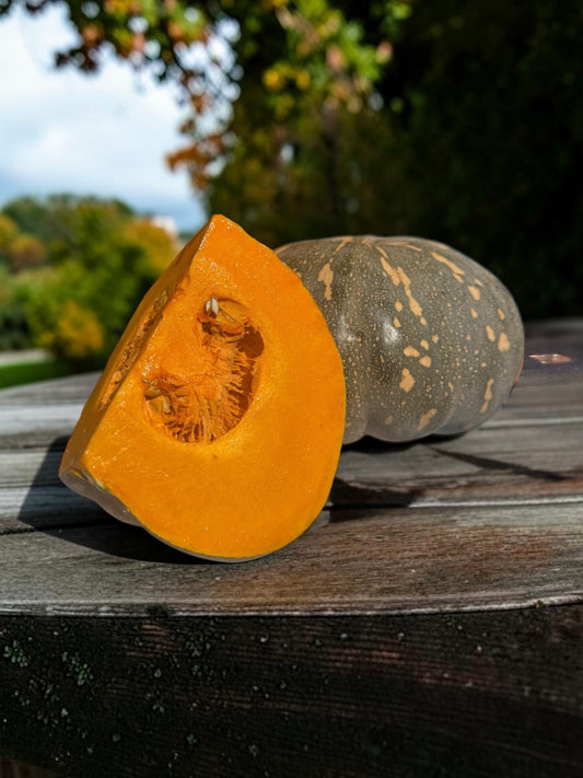Jap pumpkin