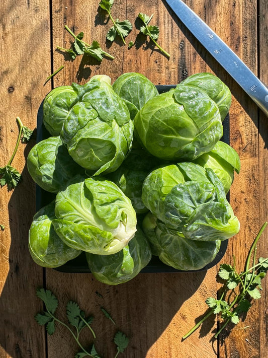 Premium Australian Brussel Sprouts