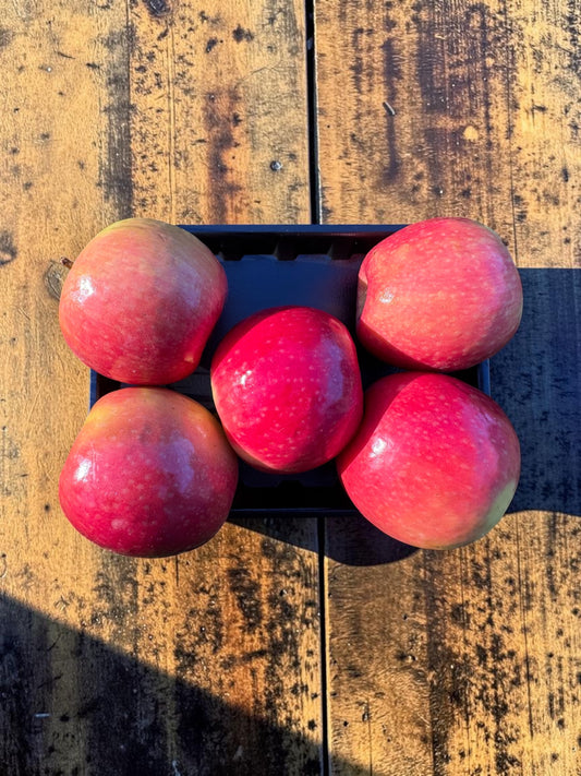 Winter Crunch - Premium Pink Ladies