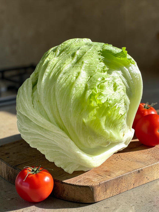 Crisp Fresh Iceberg Lettuce