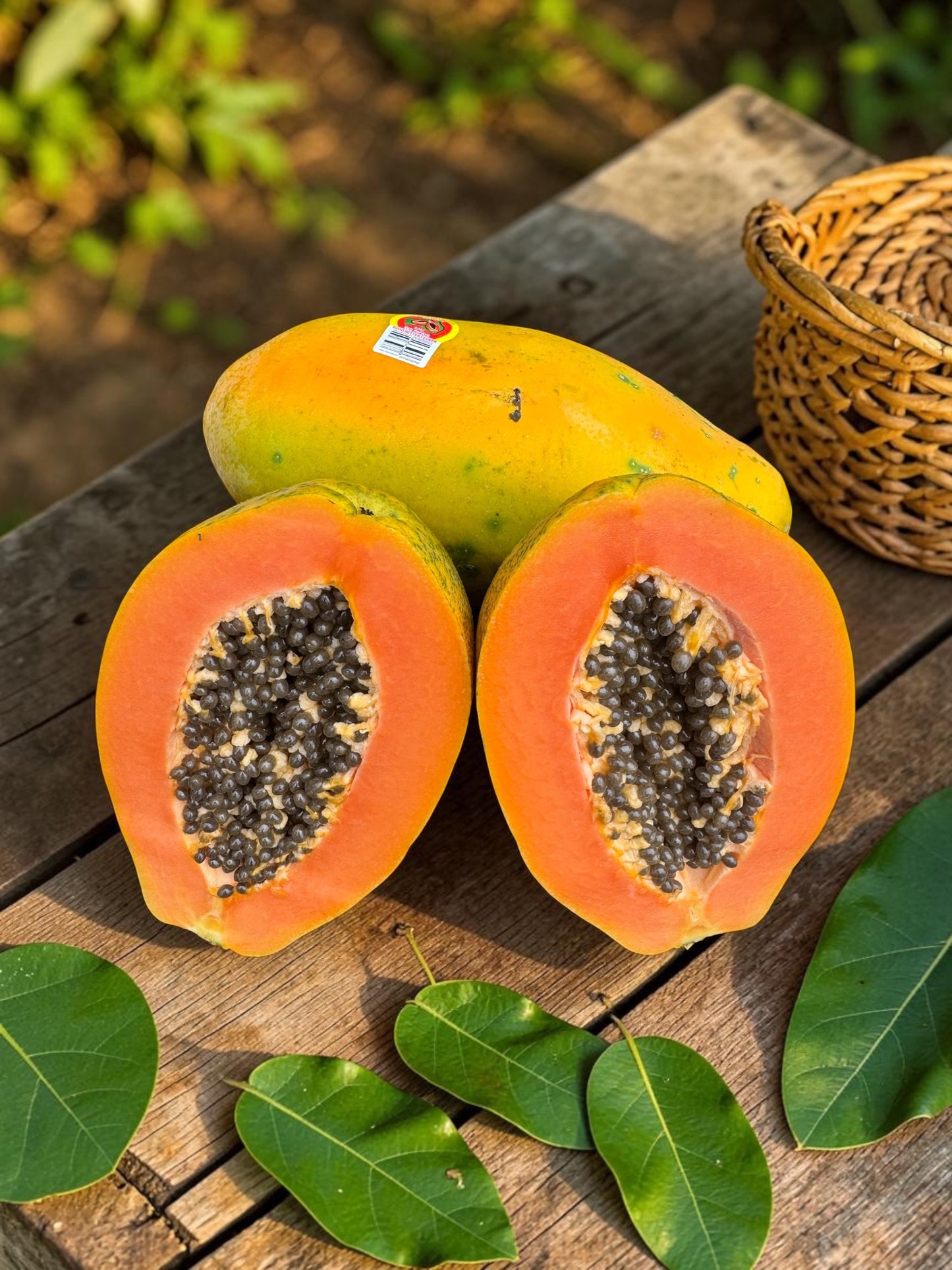 Whole Tropical Red Papaya