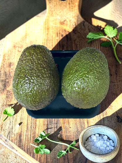 Large Hass Avocado