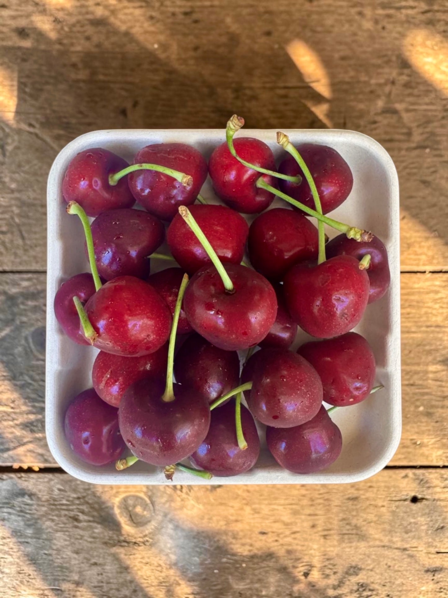Premium Winter Cherry Tray